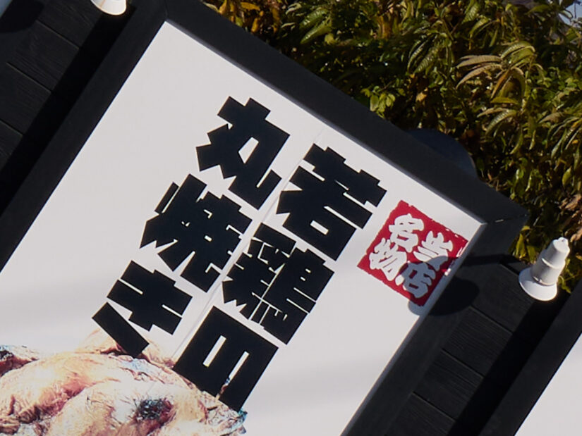 LUMIX G VARIO 14-140-F3.5-5.6 II ( f/8, 1/500sec, ISO-100, 46mm )