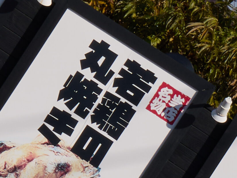 LUMIX G VARIO 14-140-F3.5-5.6 II ( f/11, 1/250sec, ISO-100, 46mm )