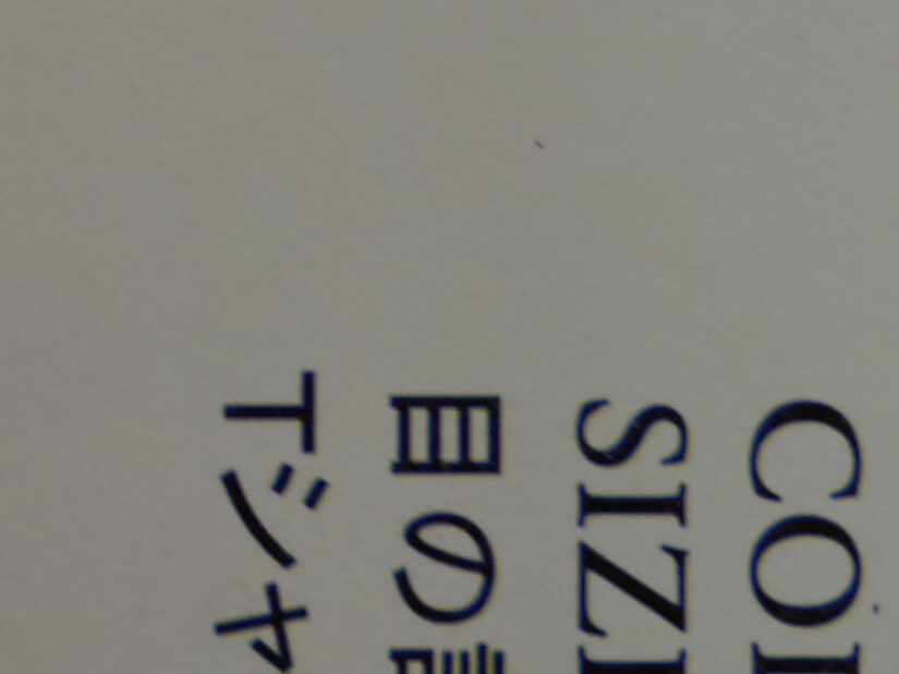 LEICA DG 12-35-F2.8 ( f/4, 1/25sec, ISO-100, 25mm )