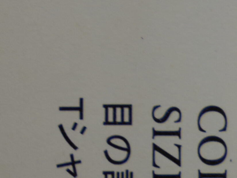 LEICA DG 12-35-F2.8 ( f/5.6, 1/13sec, ISO-100, 25mm )