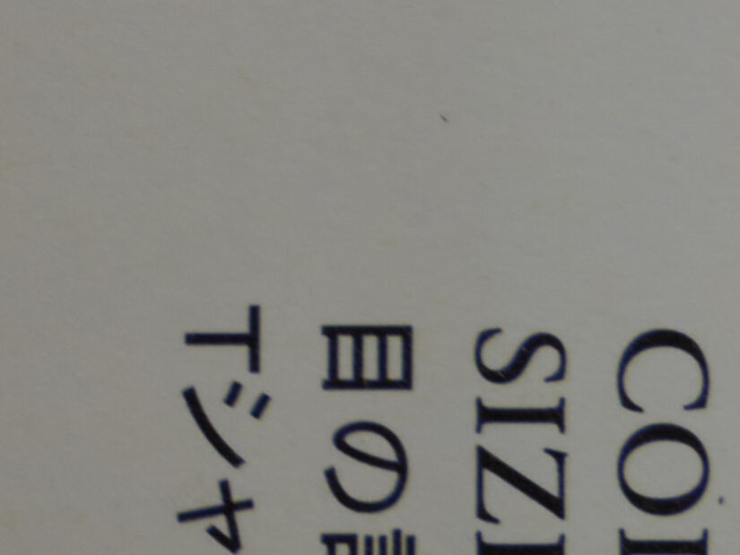 LEICA DG 12-35-F2.8 ( f/8, 1/6sec, ISO-100, 25mm )