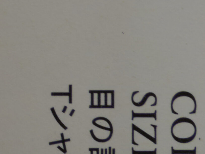 LEICA DG 12-35-F2.8 ( f/11, 1/3sec, ISO-100, 25mm )