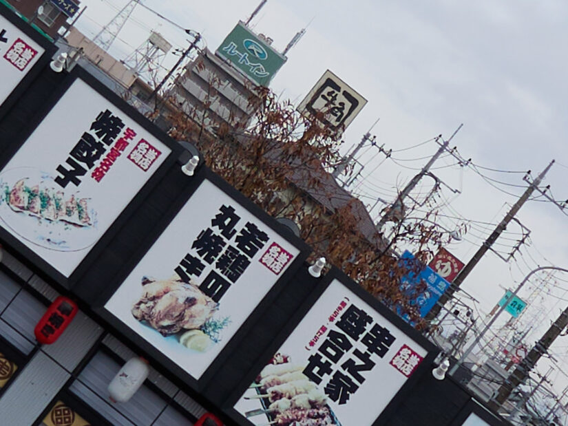 LEICA DG 12-35-F2.8 ( f/2.8, 1/1300sec, ISO-100, 15mm )