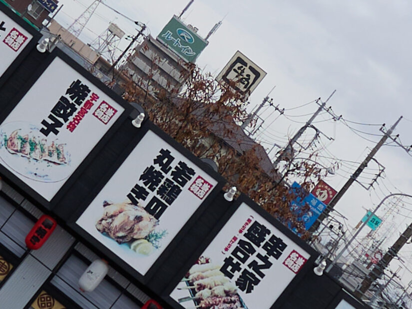 LEICA DG 12-35-F2.8 ( f/4, 1/640sec, ISO-100, 15mm )