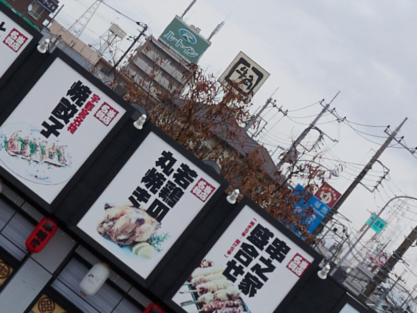 LEICA DG 12-35-F2.8 ( f/5.6, 1/320sec, ISO-100, 15mm )