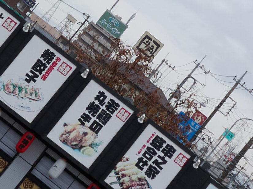 LEICA DG 12-35-F2.8 ( f/8, 1/160sec, ISO-100, 15mm )