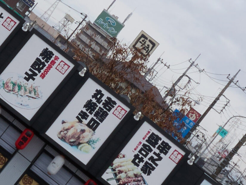 LEICA DG 12-35-F2.8 ( f/11, 1/80sec, ISO-100, 15mm )