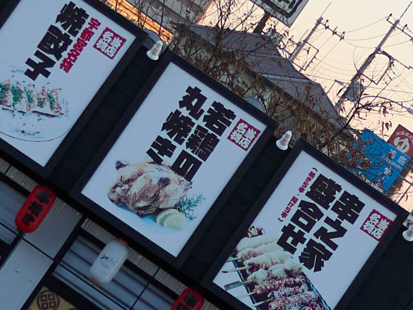 LUMIX G 20-F1.7 II ( f/1.7, 1/1600sec, ISO-100, 20mm )