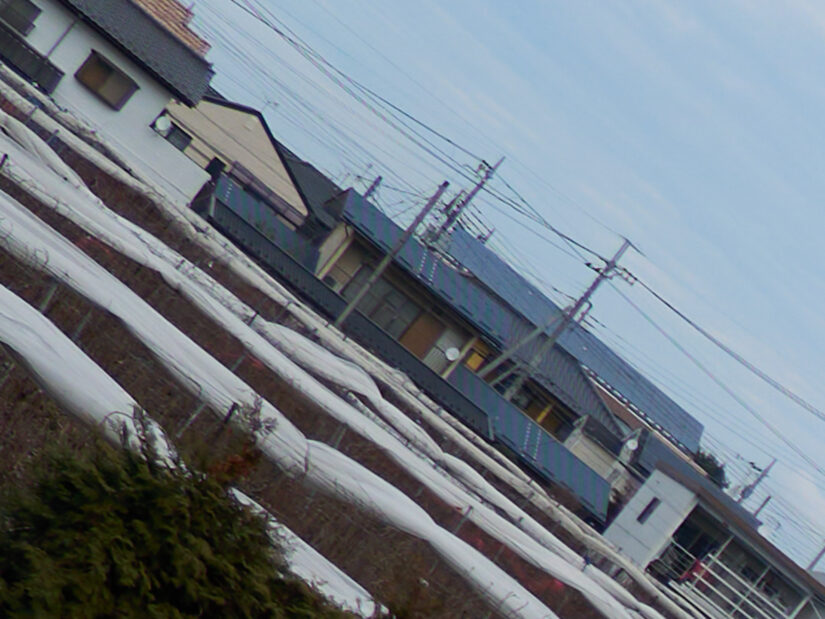 LEICA DG 12-35-F2.8 ( f/2.8, 1/1300sec, ISO-100, 15mm )