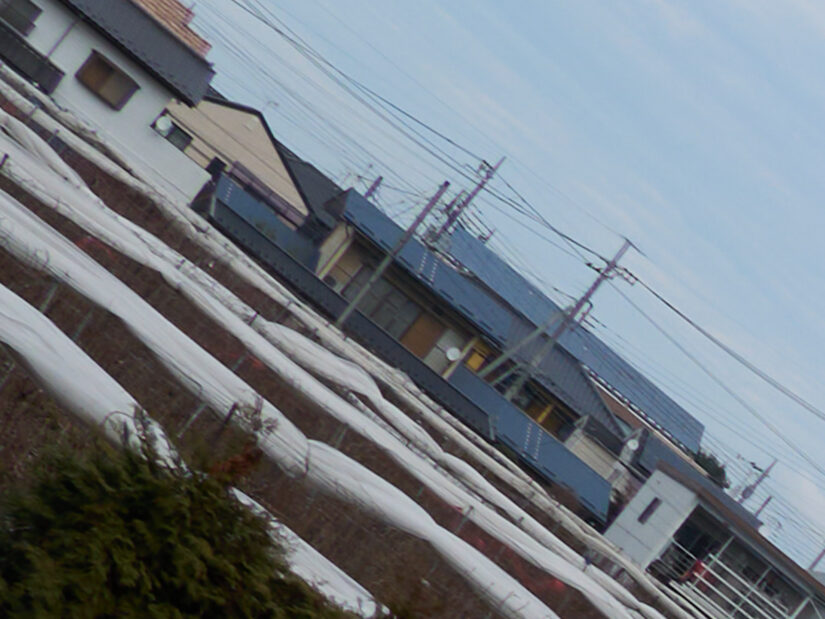 LEICA DG 12-35-F2.8 ( f/8, 1/160sec, ISO-100, 15mm )