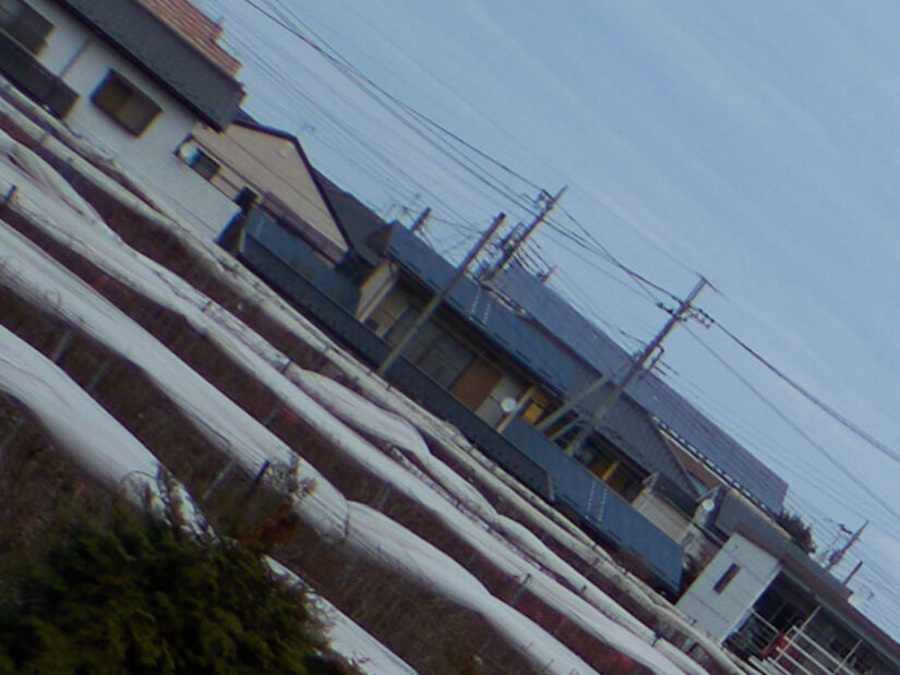 LEICA DG SUMMILUX 15-F1.7 ( f/1.7, 1/3200sec, ISO-100, 15mm )