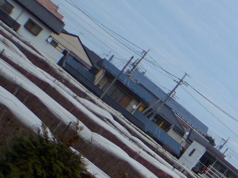 LEICA DG SUMMILUX 15-F1.7 ( f/2, 1/2500sec, ISO-100, 15mm )