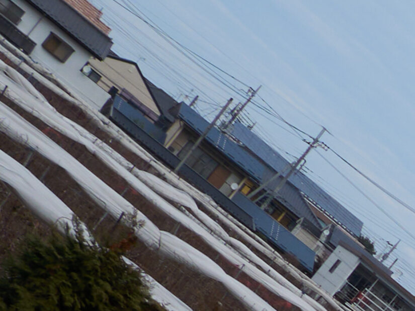 LEICA DG SUMMILUX 15-F1.7 ( f/8, 1/160sec, ISO-100, 15mm )