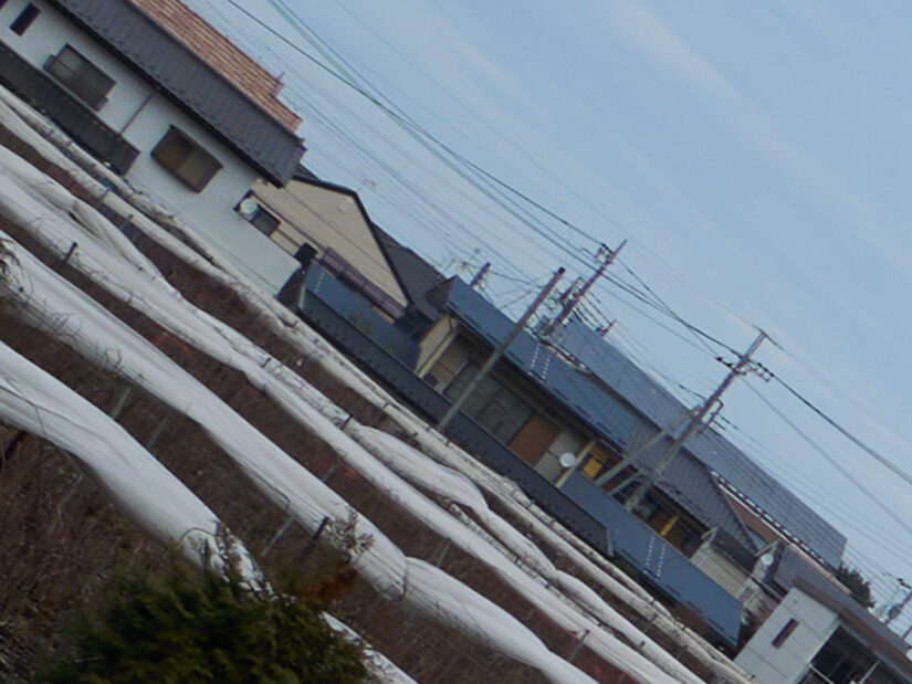 DJI MFT 15mm F1.7 ASPH ( f/5.6, 1/320sec, ISO-100, 15mm )