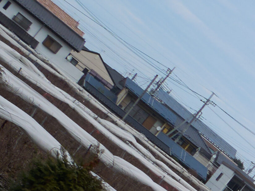 DJI MFT 15mm F1.7 ASPH ( f/8, 1/160sec, ISO-100, 15mm )