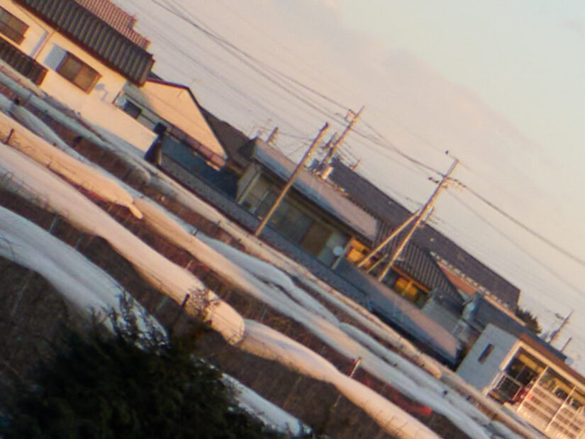 DJI MFT 15mm F1.7 ASPH ( f/1.7, 1/1300sec, ISO-100, 15mm )