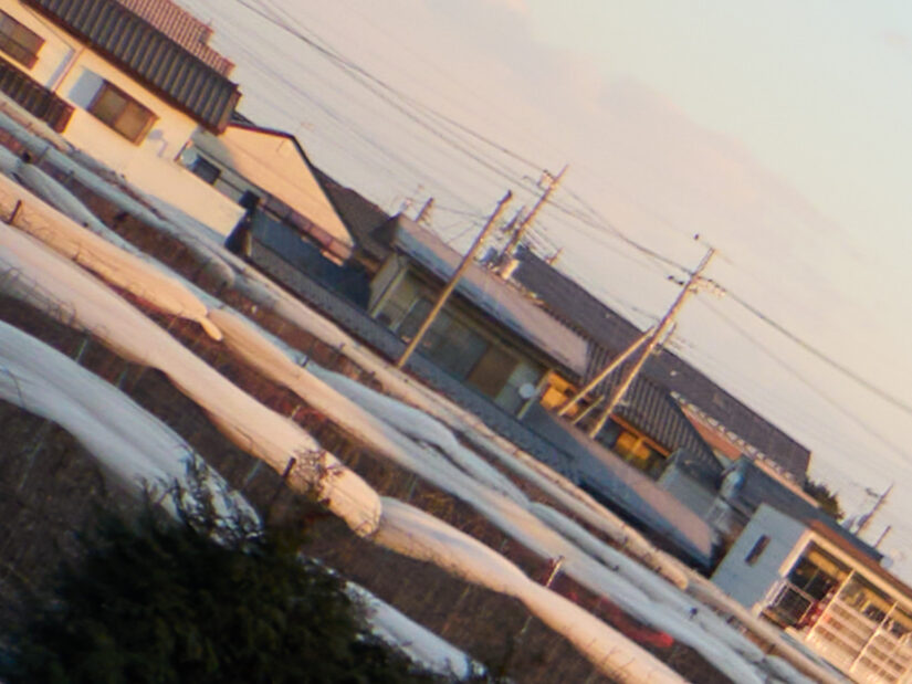 DJI MFT 15mm F1.7 ASPH ( f/2, 1/1000sec, ISO-100, 15mm )