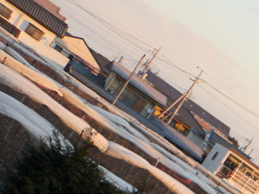 DJI MFT 15mm F1.7 ASPH ( f/2.8, 1/500sec, ISO-100, 15mm )