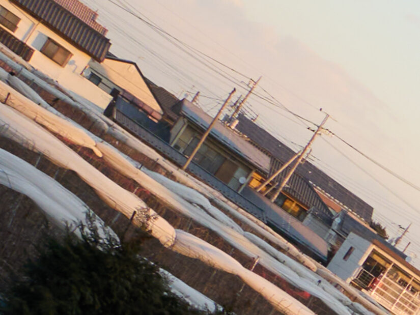 DJI MFT 15mm F1.7 ASPH ( f/5.6, 1/125sec, ISO-100, 15mm )