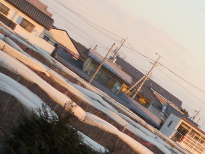 DJI MFT 15mm F1.7 ASPH ( f/11, 1/60sec, ISO-200, 15mm )