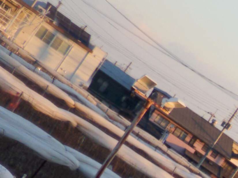 LUMIX G 20-F1.7 II ( f/1.7, 1/1600sec, ISO-100, 20mm )