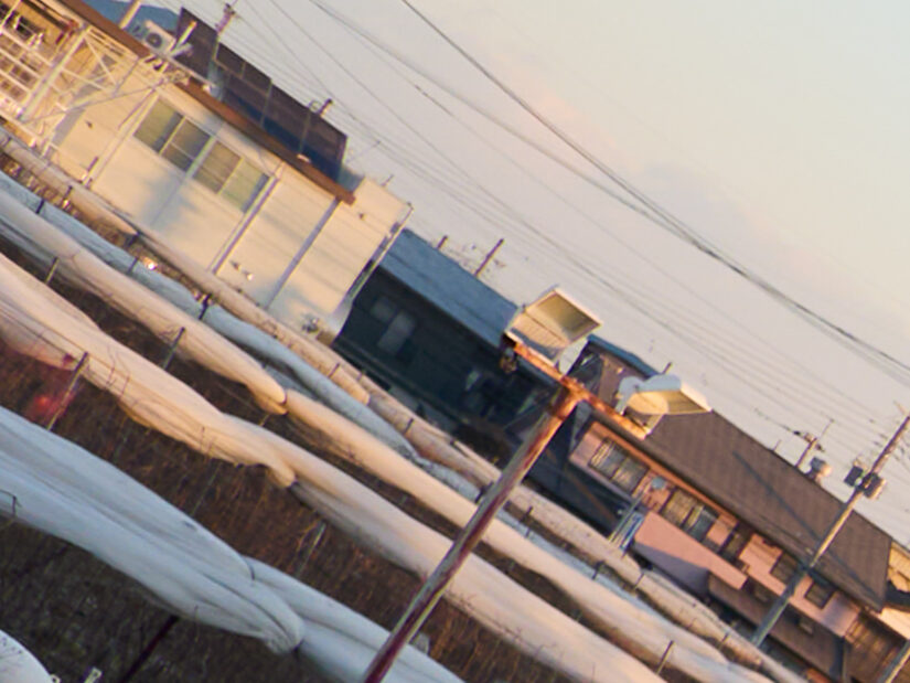 LUMIX G 20-F1.7 II ( f/4, 1/320sec, ISO-100, 20mm )