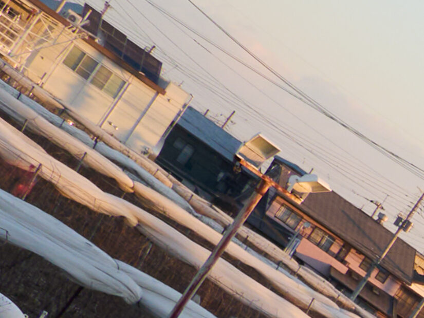 LUMIX G 20-F1.7 II ( f/5.6, 1/160sec, ISO-100, 20mm )