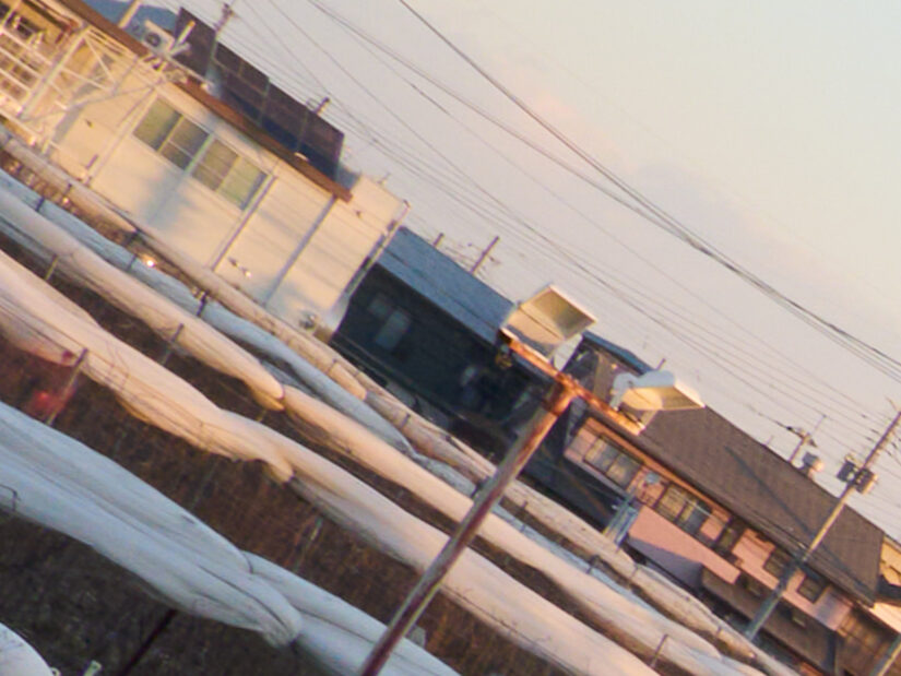 LUMIX G 20-F1.7 II ( f/11, 1/60sec, ISO-160, 20mm )