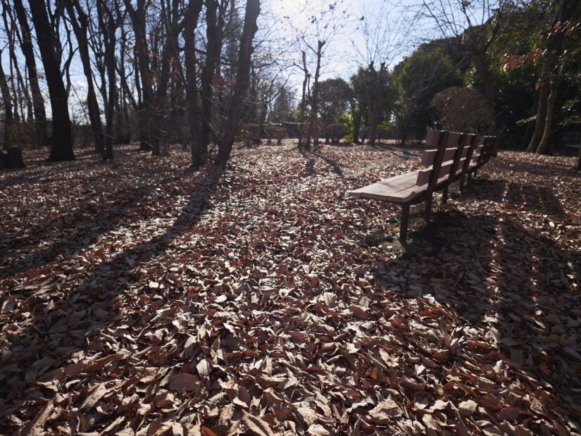 DC-GF9 ( f/1.8, 1/3200sec, ISO-200, 9mm )