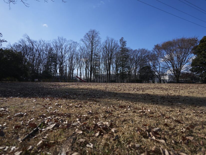 DC-GF9 ( f/1.7, 1/8000sec, ISO-200, 9mm )