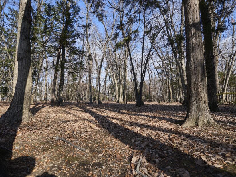 DC-G9M2 ( f/1.7, 1/2000sec, ISO-100, 9mm )