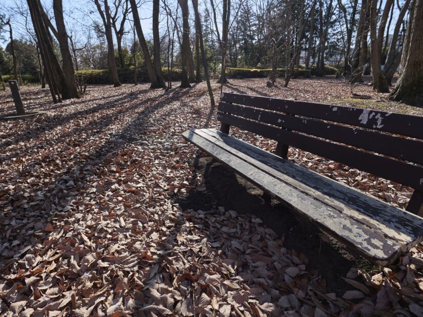 DC-G9M2 ( f/4, 1/400sec, ISO-100, 9mm )