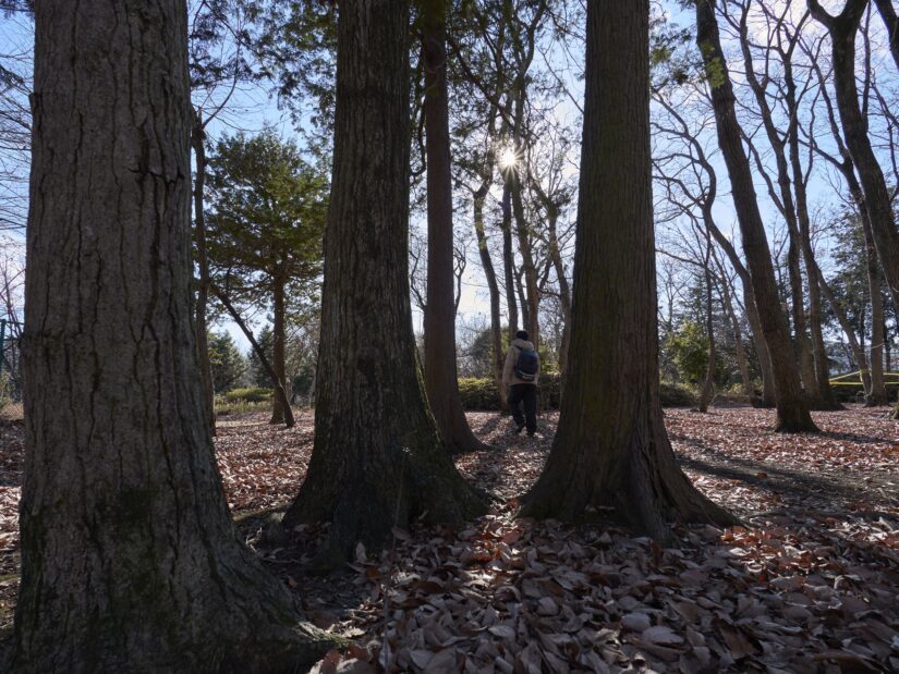 DC-G9M2 ( f/6.3, 1/125sec, ISO-100, 9mm )