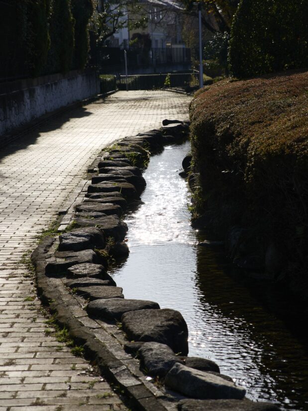 OM-3 ( f/4, 1/2500sec, ISO-200, 45mm )