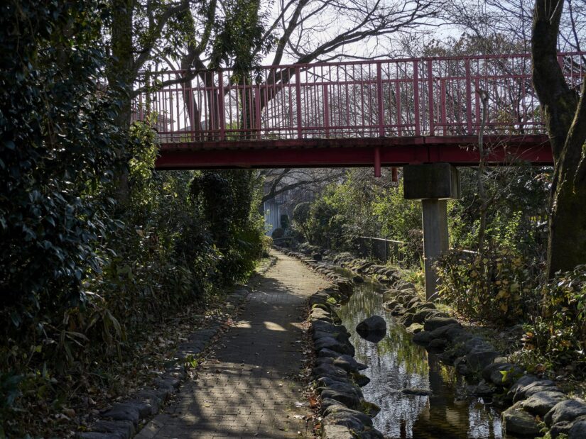 OM-3 ( f/4, 1/640sec, ISO-200, 25mm )