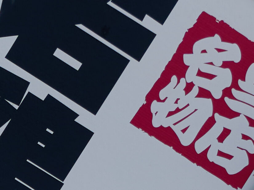 LEICA DG 50-200-F2.8-4.0 ( f/5.6, 1/500sec, ISO-100, 173mm )