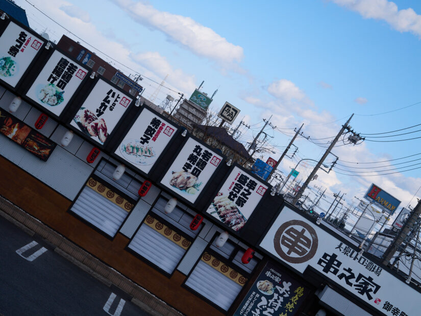 LUMIX G VARIO PZ 45-175-F4.0-5.6 ( f/4.2, 1/1000sec, ISO-100, 50mm )