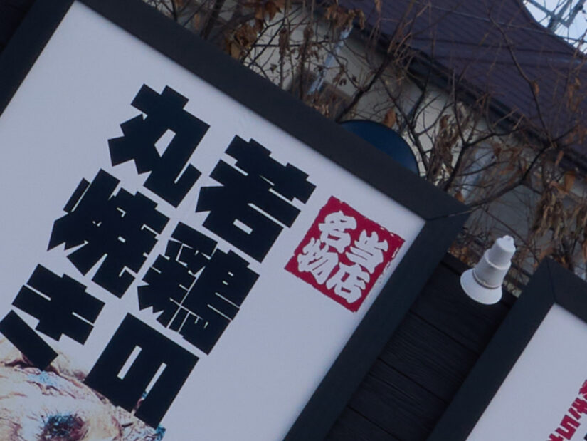 LUMIX G VARIO PZ 45-175-F4.0-5.6 ( f/11, 1/125sec, ISO-100, 50mm )