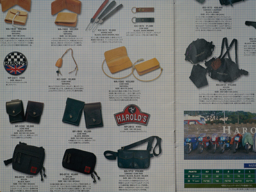 LUMIX G VARIO PZ 45-175-F4.0-5.6 ( f/4.2, 1/30sec, ISO-100, 50mm )