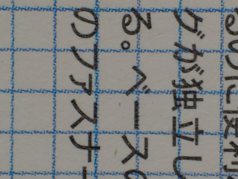 LUMIX G VARIO PZ 45-175-F4.0-5.6 ( f/8, 1/10sec, ISO-100, 175mm )