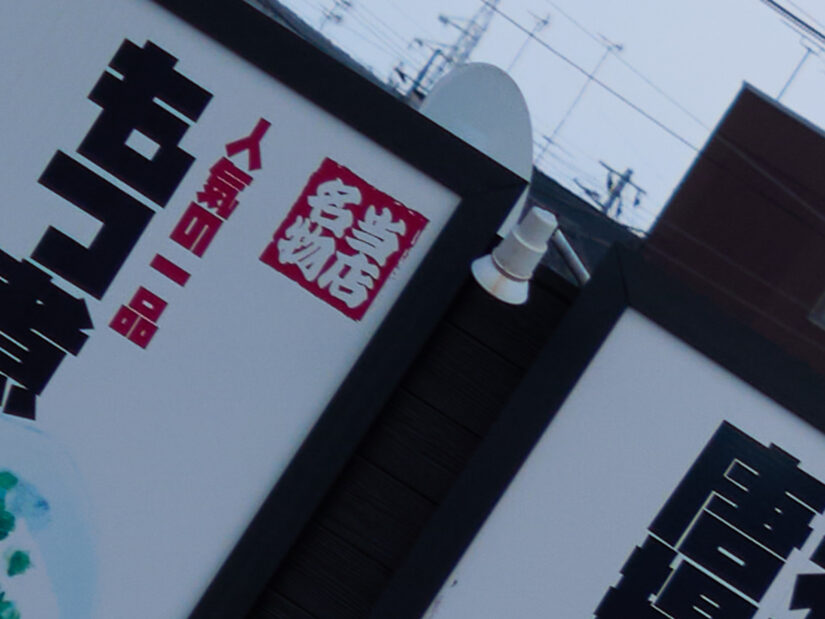 LUMIX G VARIO PZ 45-175-F4.0-5.6 ( f/4.2, 1/1000sec, ISO-100, 50mm )