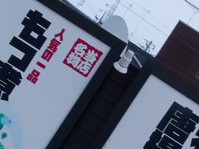 LUMIX G VARIO PZ 45-175-F4.0-5.6 ( f/8, 1/250sec, ISO-100, 50mm )