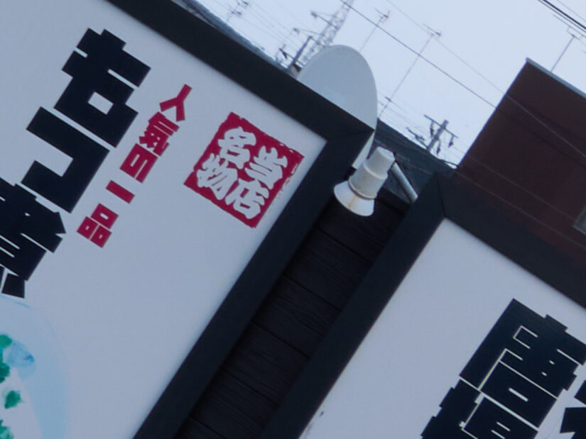 LUMIX G VARIO PZ 45-175-F4.0-5.6 ( f/11, 1/125sec, ISO-100, 50mm )