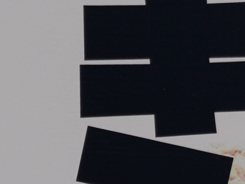 LEICA DG 100-400-F4-6.3II ( f/5.6, 1/3200sec, ISO-100, 280mm )