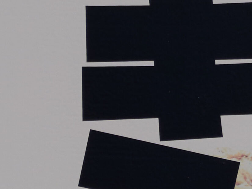 LEICA DG 100-400-F4-6.3II ( f/8, 1/1600sec, ISO-100, 280mm )