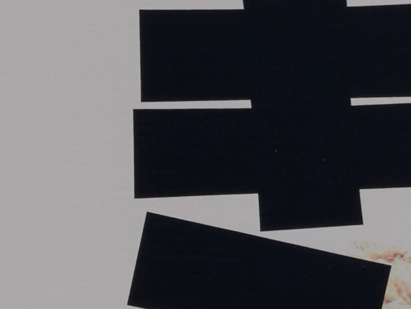 LEICA DG 100-400-F4-6.3II ( f/11, 1/800sec, ISO-100, 280mm )