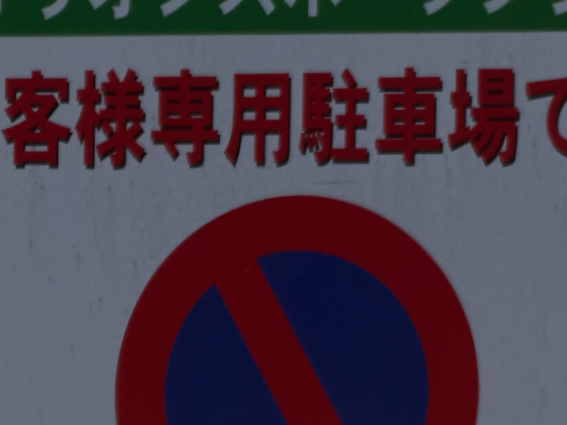 LEICA DG 50-200-F2.8-4.0+TC1.4 ( f/5.6, 1/800sec, ISO-100, 280mm )