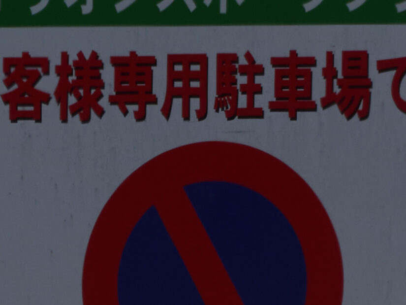 LEICA DG 50-200-F2.8-4.0+TC1.4 ( f/11, 1/200sec, ISO-100, 280mm )