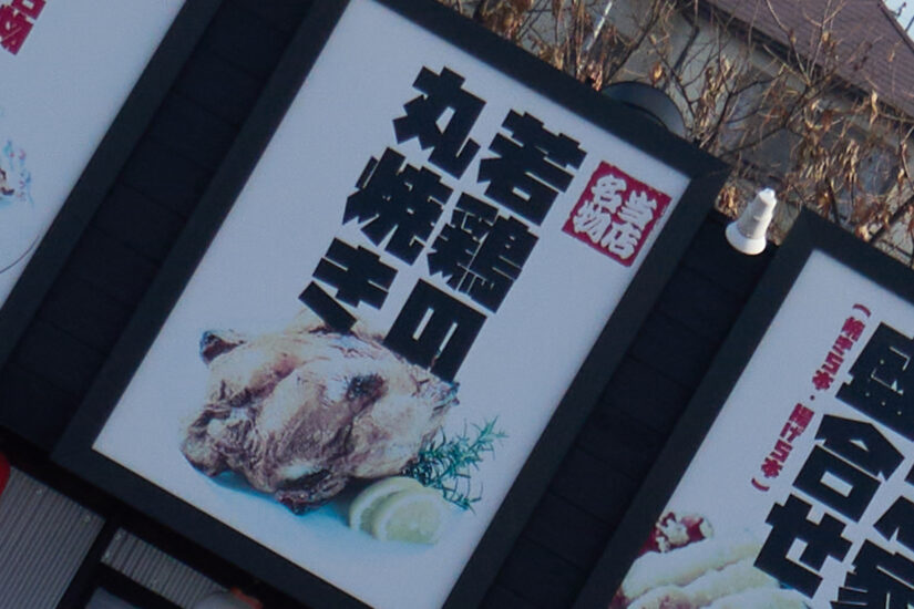 LUMIX G VARIO 12-32-F3.5-5.6 ( f/5.6, 1/800sec, ISO-200, 32mm )