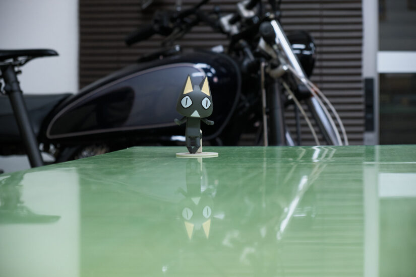 Fujinon XF18-55mmF2.8-4 R LM OIS ( f/4, 1/80sec, ISO-1600, 55mm )